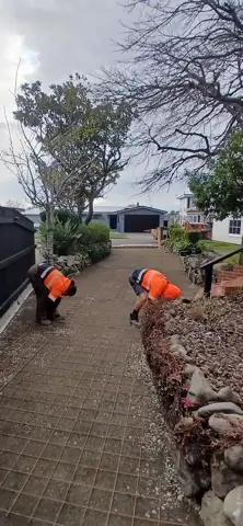 Concrete driveway in Palmerston North, photo 7
