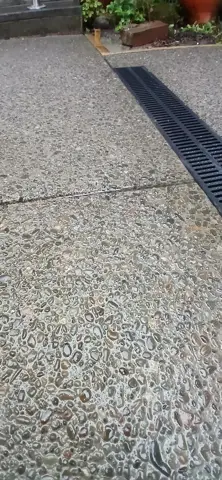 Concrete driveway in Palmerston North, photo 47