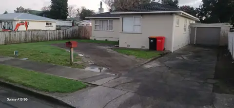Concrete driveway in Palmerston North, photo 65