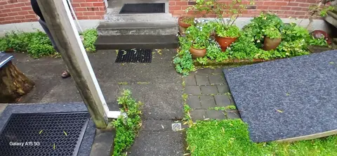 Concrete path in Palmerston North, photo 17