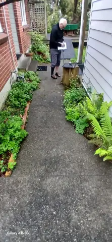 Concrete path in Palmerston North, photo 18